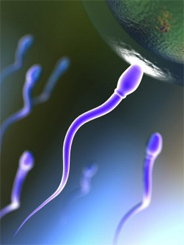 Сперма обладает уникальным кодом